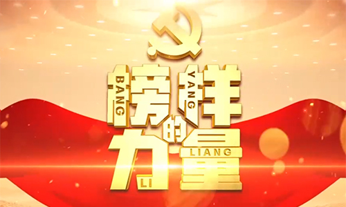 《楷模的力量》