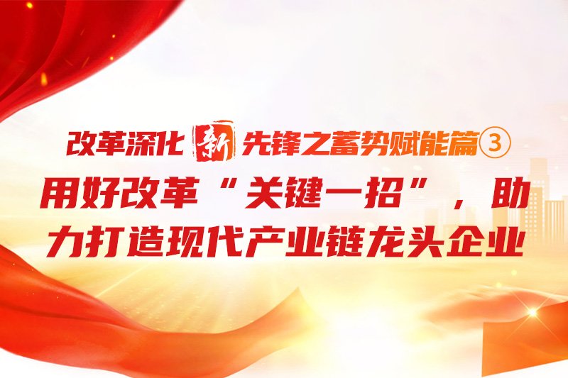 鼎新深入“新”前锋之蓄势赋能篇③丨用好鼎新“关键一沼妆，助力打造现代产业链龙头企业