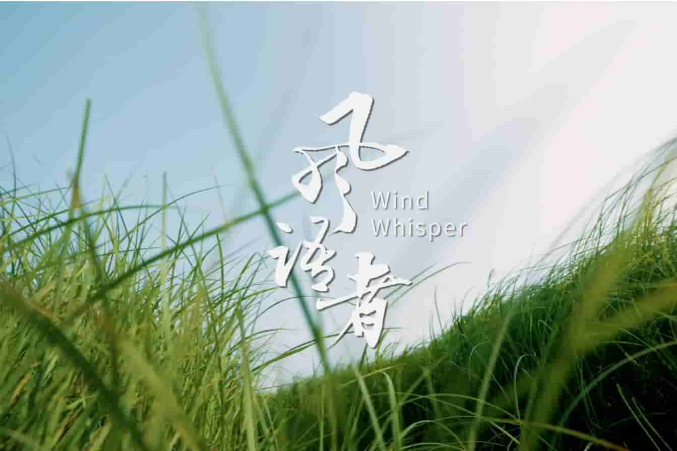 风语者