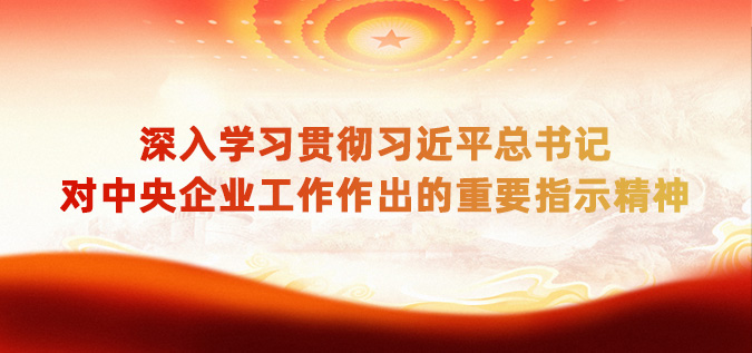 深刻进建贯彻习近平总书记对中央企业工作作出的沉要批示心灵