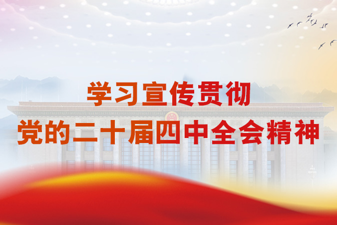 进建宣传贯彻党的二十届四中全会心灵专题网站