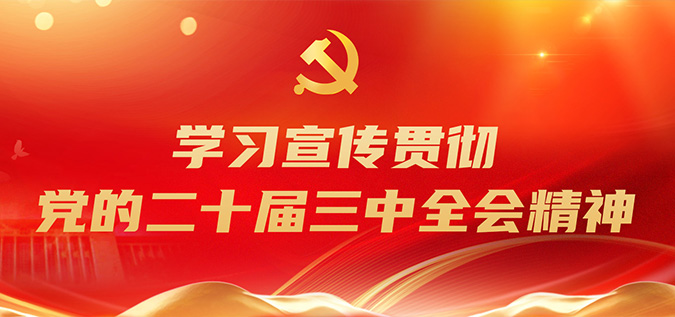 进建宣传贯彻党的二十届三中全会心灵