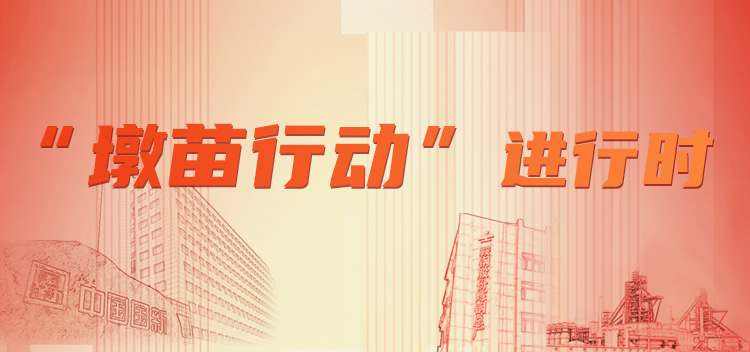墩苗行动进行时