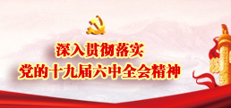 深刻贯彻落实党的十九届六中全会心灵