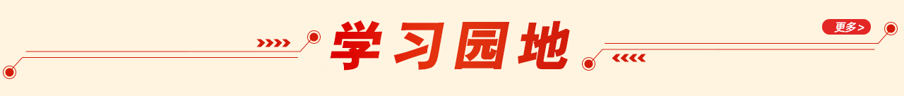 ico03