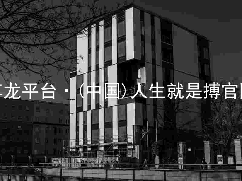 尊龙平台·(中国)人生就是搏官网