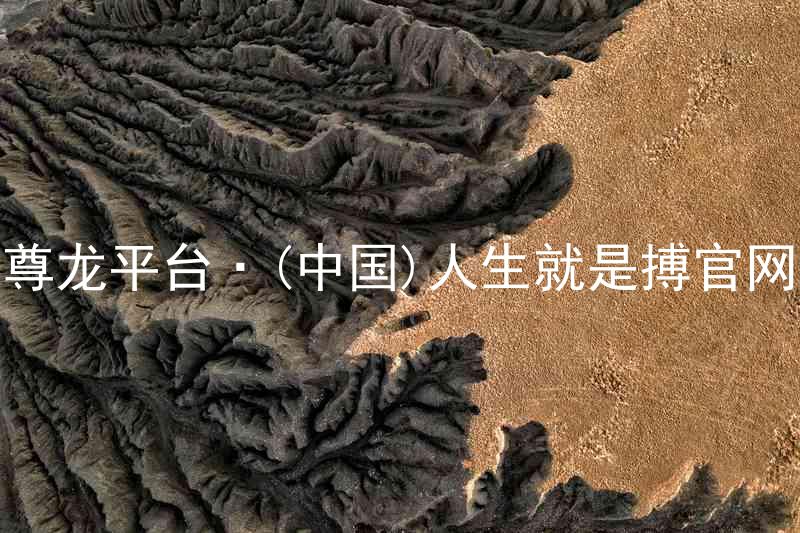 尊龙平台·(中国)人生就是搏官网
