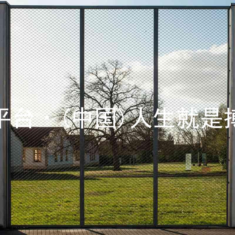 尊龙平台·(中国)人生就是搏官网